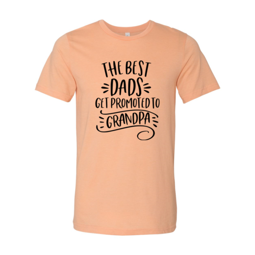 DT0218 The Best Dad Shirt